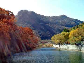 新澳天天开奖资料大全旅游团，陈发树简历